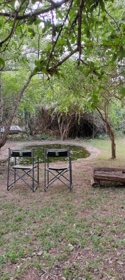 Thornwood Villa Hluhluwe Kültér fotó
